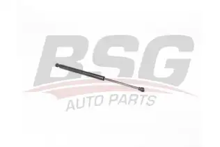 BSG 15980053 Bagaj Amortisörü