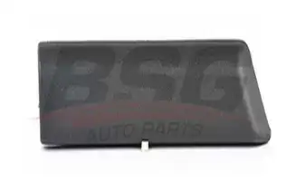 BSG 65926011 Çamurluk Bandı Ön Sol