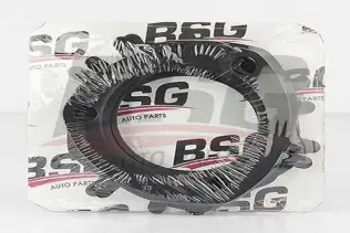 BSG 30116107 Egzos Boğaz Contası