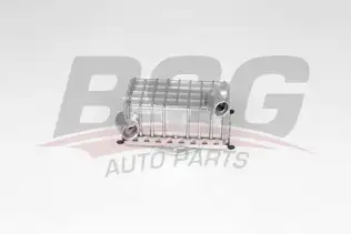 BSG 60506004 Yağ Soğutucusu