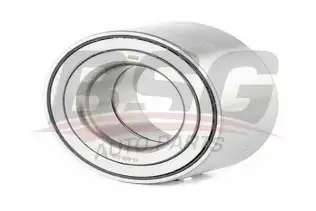 BSG 15605025 Teker Rulmanı