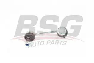 BSG 40310117 Viraj Askı Rotu Arka