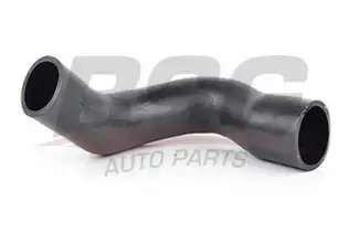 BSG 60720026 Turbo Hortumu