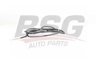 BSG 40725004 Yakıt Besleme Borusu
