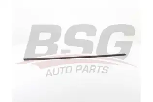 BSG 90924050 Kapı Bandı Ön Sağ