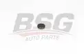 BSG 60109018 Zincir Gergi Tapası