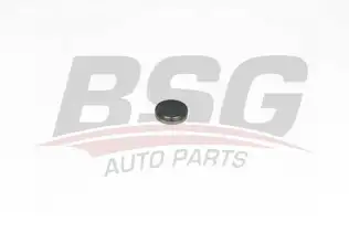BSG 60109018 Zincir Gergi Tapası