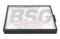 BSG 40145013 Polen Filtresi