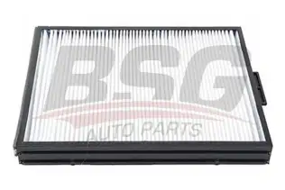 BSG 40145013 Polen Filtresi