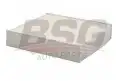 BSG 30145004 Polen Filtresi