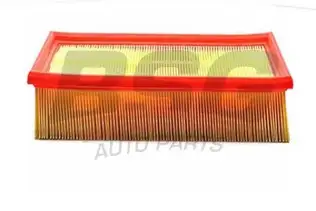 BSG 30135016 Hava Filtresi
