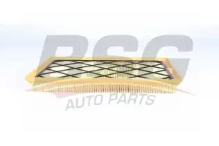 BSG 30135032 Hava Filtresi
