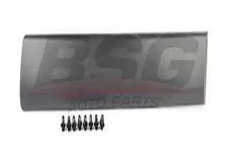 BSG 70924004 Kapı Bandı Sol