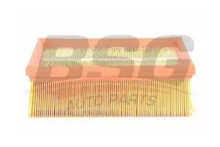 BSG 30135009 Hava Filtresi