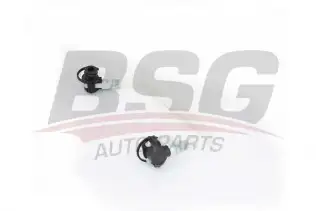 BSG 60725020 Yakıt Hortumu