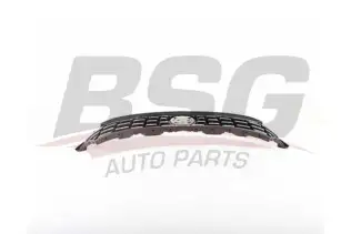 BSG 25927001 Panjur Ön