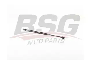 BSG 15980066 Bagaj Amortisörü