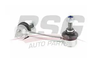 BSG 60310022 Viraj Askı Rotu Ön Sol