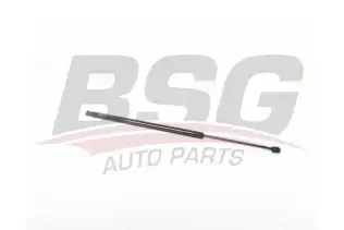 BSG 25980010 Bagaj Amortisörü