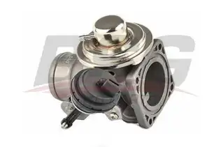 BSG 90836015 Egr Valfi