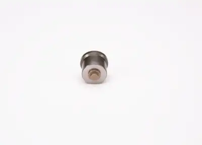 BOSCH 2418554057 Pompa Valfi - 8. Görsel
