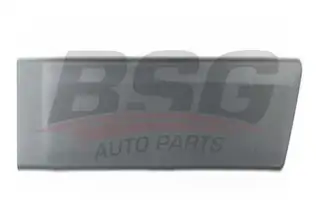BSG 30924039 Kapı Kusağı Arka Sol