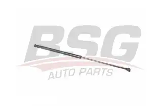 BSG 15980034 Motor Kaput Amortisörü