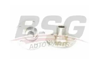 BSG 30325034 Porya Ön