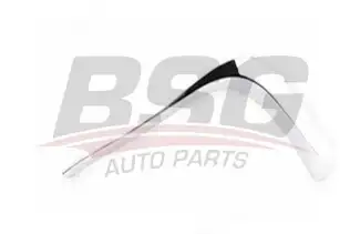 BSG 65922068 Sis Kapak Çıtası Sağ