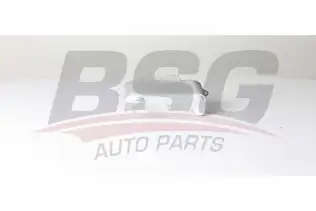 BSG 15506026 Yağ Radyatörü