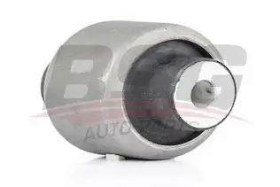 BSG 60700067 Salıncak Burcu
