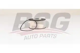 BSG 30130016 Yakıt Filtresi