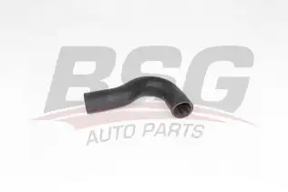BSG 65700352 Turbo Hortumu