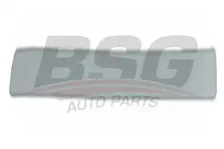 BSG 30924013 Kapı Kusağı Arka Sol