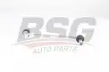 BSG 25310047 Viraj Askı Rotu Ön