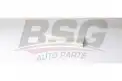BSG 25145004 Polen Filtresi