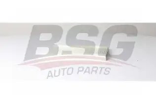 BSG 25145004 Polen Filtresi