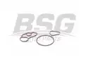 BSG 70116001 Yağ Filtresi Conta Takımı