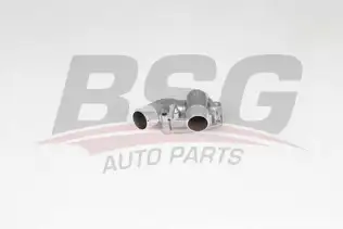BSG 65126009 Termostat