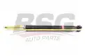 BSG 60300049 Amortisör Arka