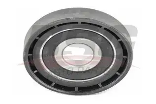BSG 70615001 V Kayış Gergi Rulmanı