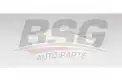 BSG 60145027 Polen Filtresi