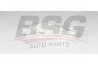 BSG 60145027 Polen Filtresi
