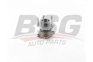 BSG 30605029 Porya Arka