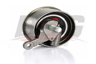 BSG 30615047 Eksantrik Gergi Rulmanı