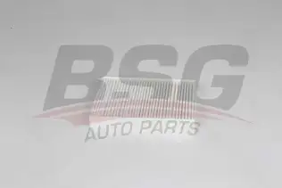 BSG 70145024 Polen Filtresi