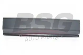 BSG 70920005 Tampon Orta