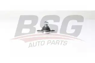 BSG 15310185 Rotil Alt