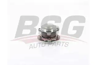BSG 60600026 Porya Ön