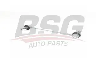 BSG 75310076 Viraj Askı Rotu Ön
